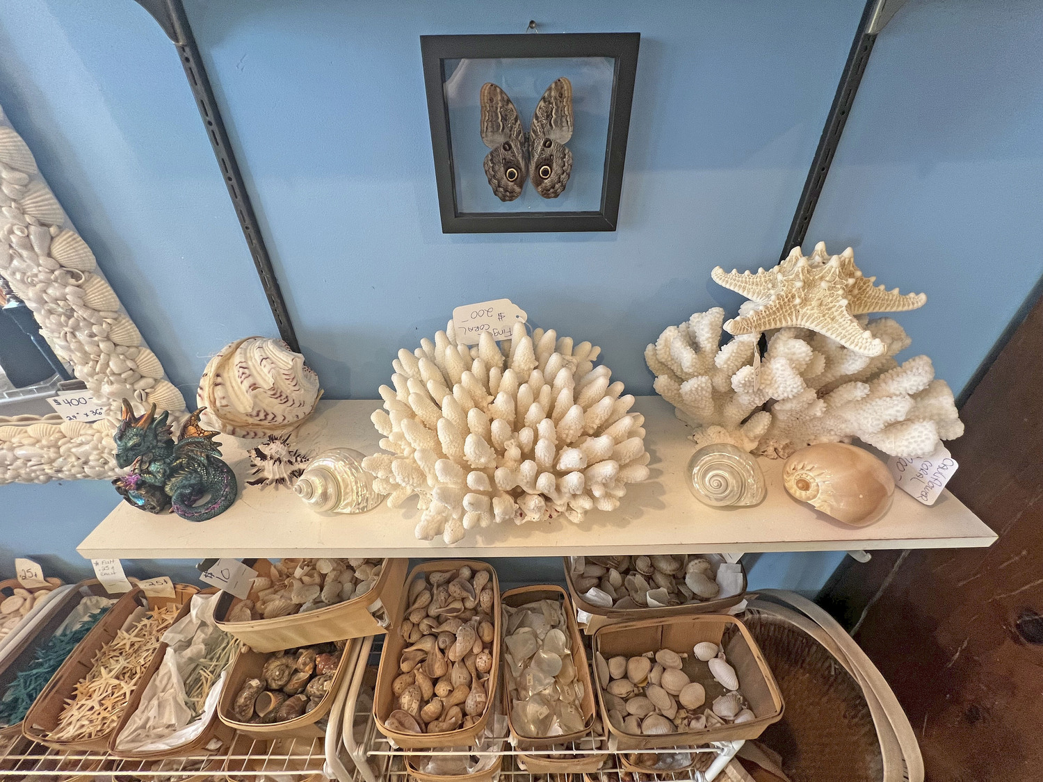 Blooming Shells in Sag Harbor Will be closing its doors after 45 years in business.  DANA SHAW