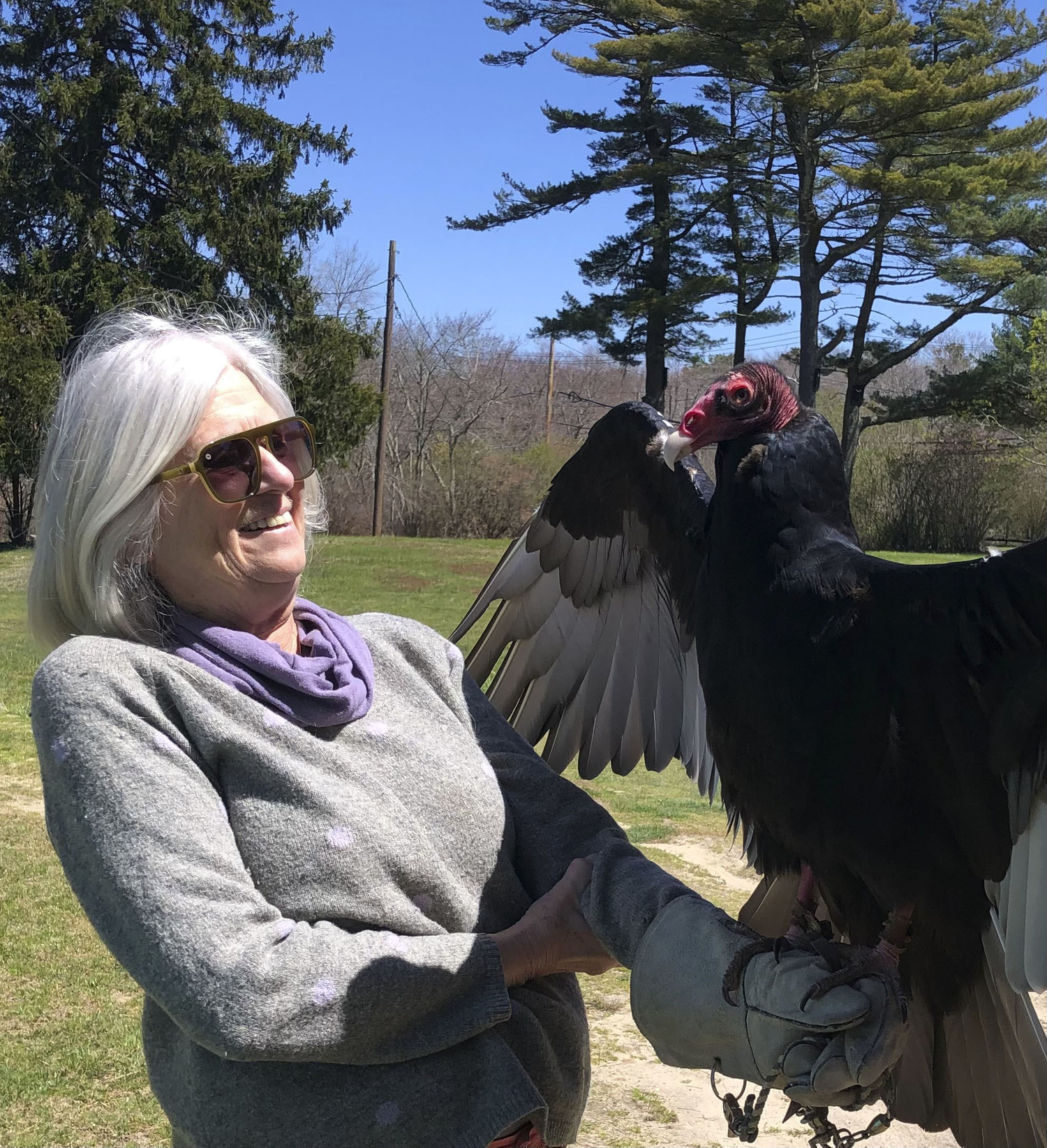 Kathleen Mulcahy, executive director of the Evelyn Alexander Wildlife Rescue Center.