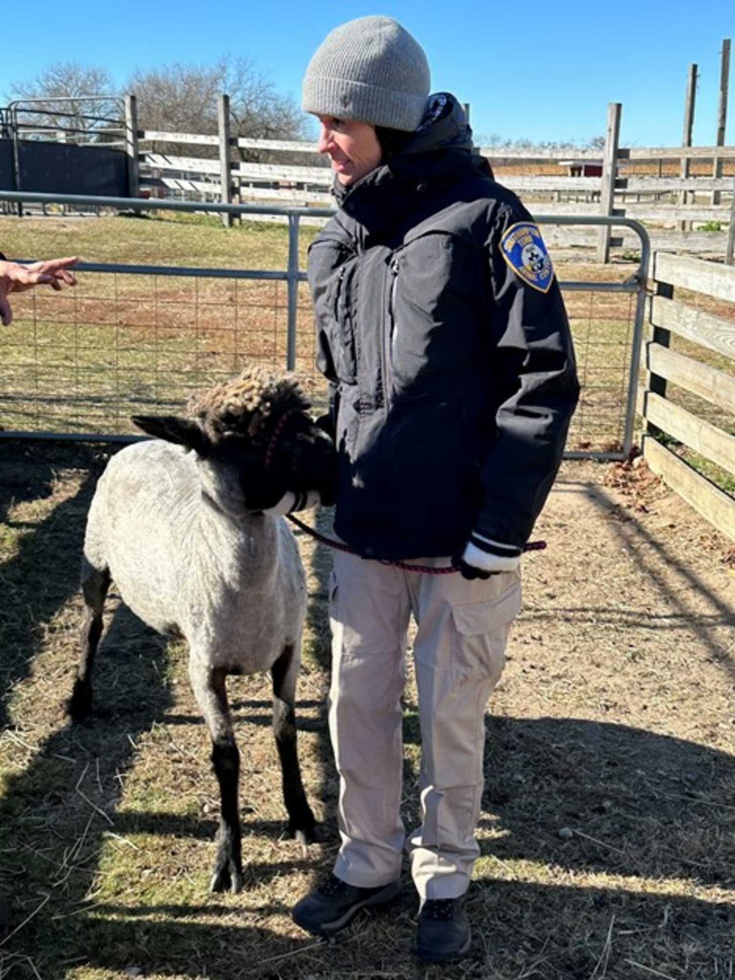 The Town of Southampton Department of Public  Safety and Emergency Management’s Animal Control Division recently partnered with the Cornell  Cooperative Extension of Suffolk County to enhance skills and knowledge related to handling farm  animals.  COURTESY TOWN OF SOUTHAMPTON