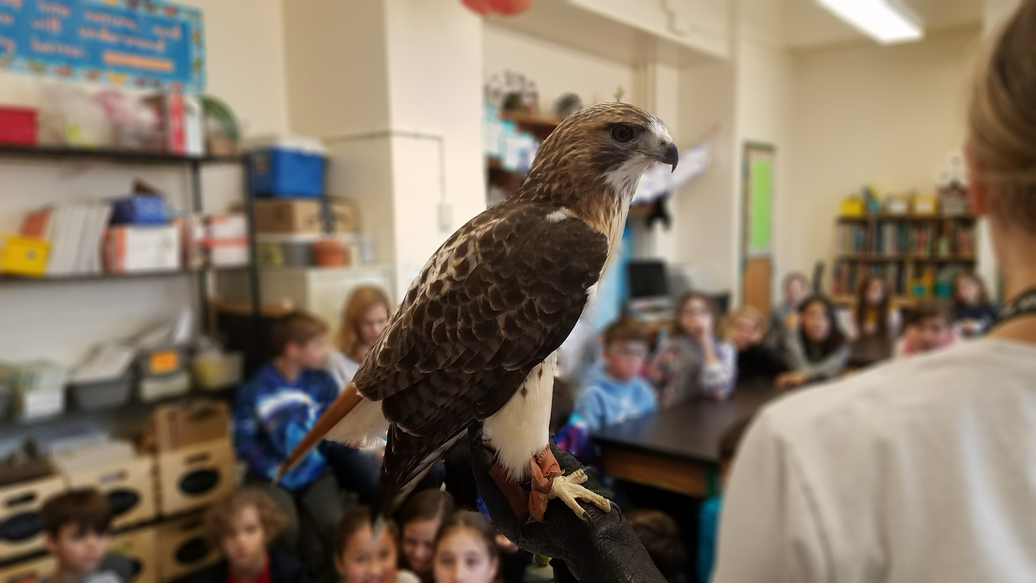 The Quogue Wildlife Refuge is 305 acres, with seven miles of hiking trails, that allow people to explore a variety of habitats and the wildlife that lives there.