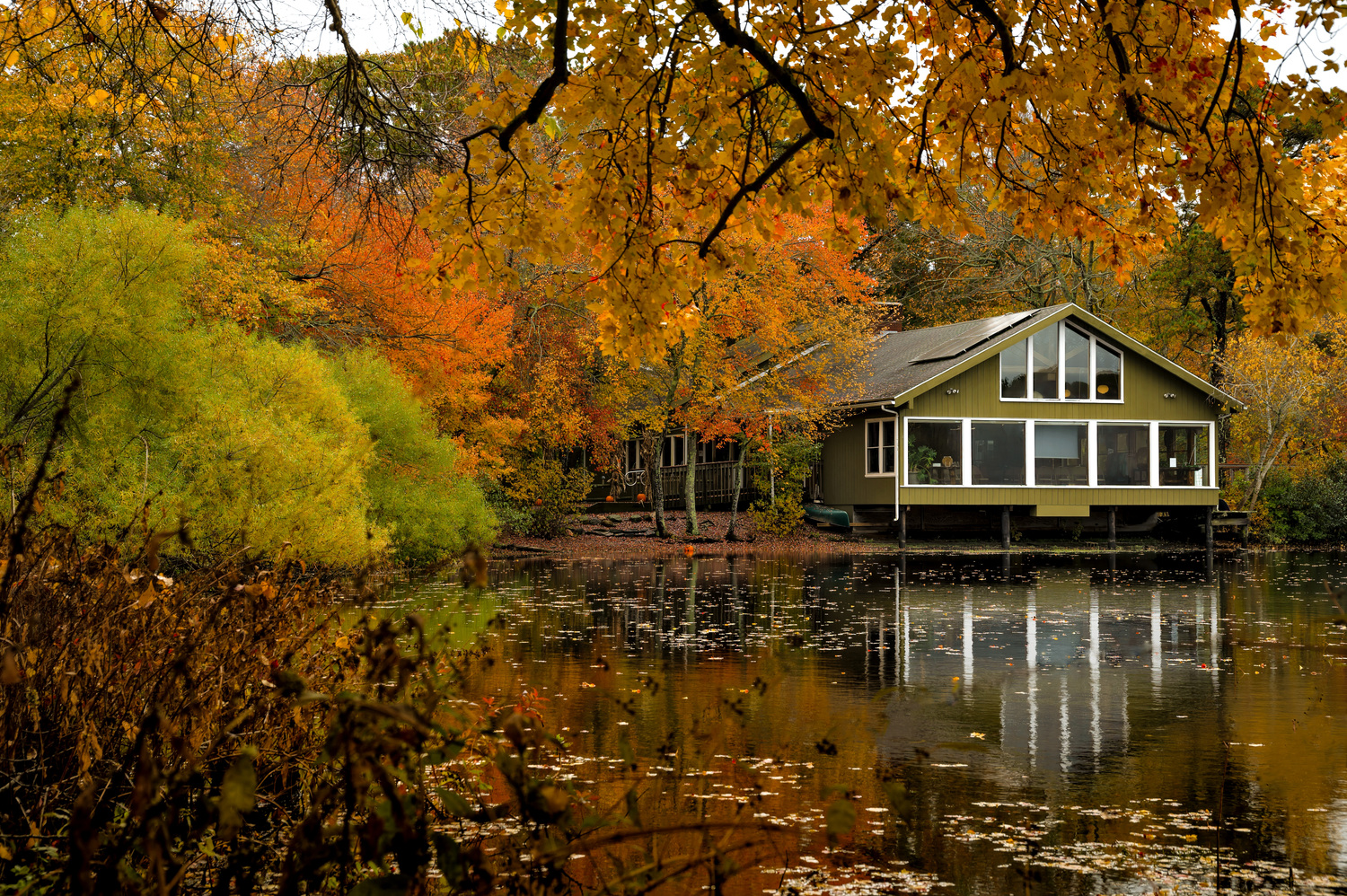 The Quogue Wildlife Refuge is 305 acres, with seven miles of hiking trails, that allow people to explore a variety of habitats and the wildlife that lives there.