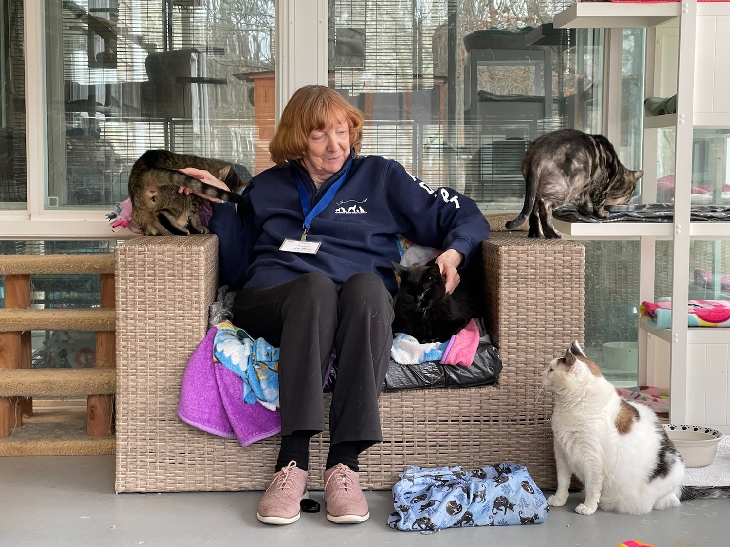 The Southampton Animal Shelter Foundation does about 600 adoptions per year, including dogs, cats and any other companion animals … birds, roosters, hamsters, reptiles — everything and anything they take in.