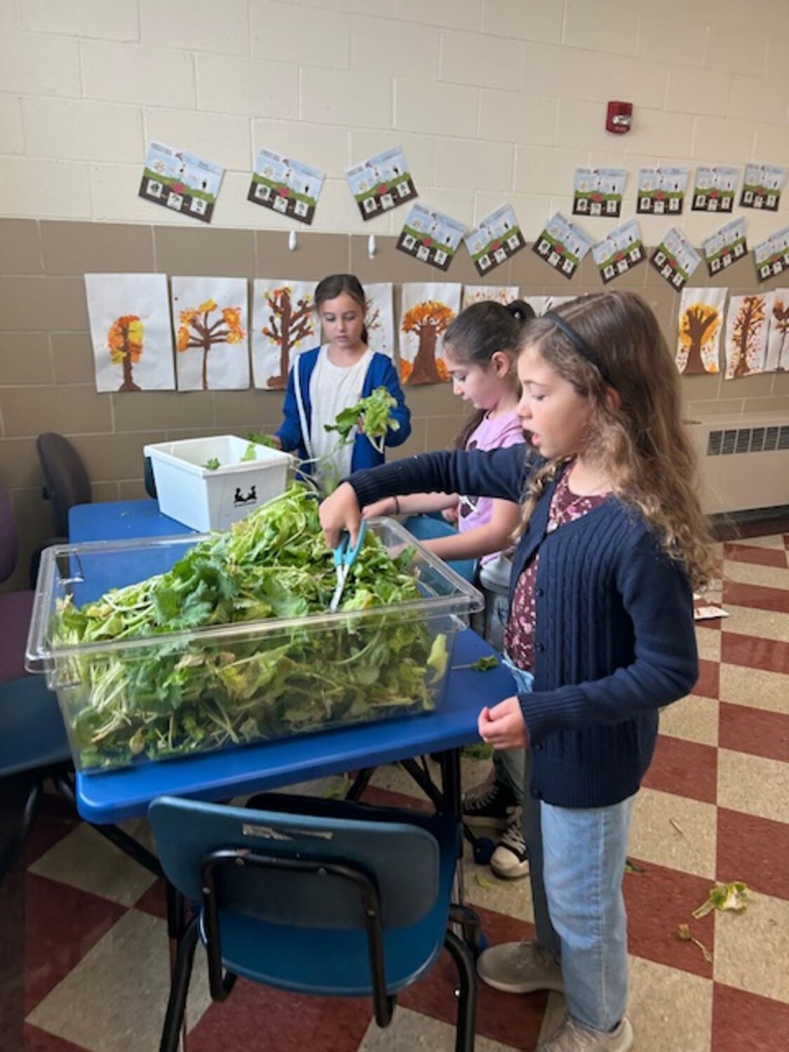 Southampton Elementary School students recently enjoyed fresh greens during lunch that were grown and harvested by students in Coleen Henke’s class. The greens were planted, carefully tended to and harvested from an indoor classroom growing tower. COURTESY SOUTHAMPTON SCHOOL DISTRICT