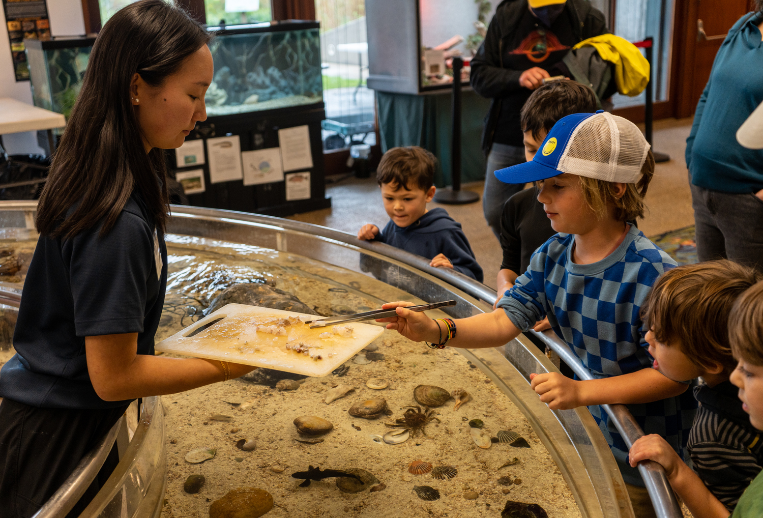 The South Fork Natural History Museum (SOFO) and Nature Center is the only natural history museum on the South Fork. Founded in 1988 by a group of local naturalists, the museum moved to its permanent location in Bridgehampton in 2005.