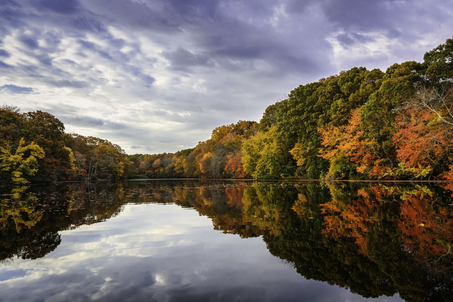 The fall foliage reflects on Trout Pond.   MARIANNE BARNETT