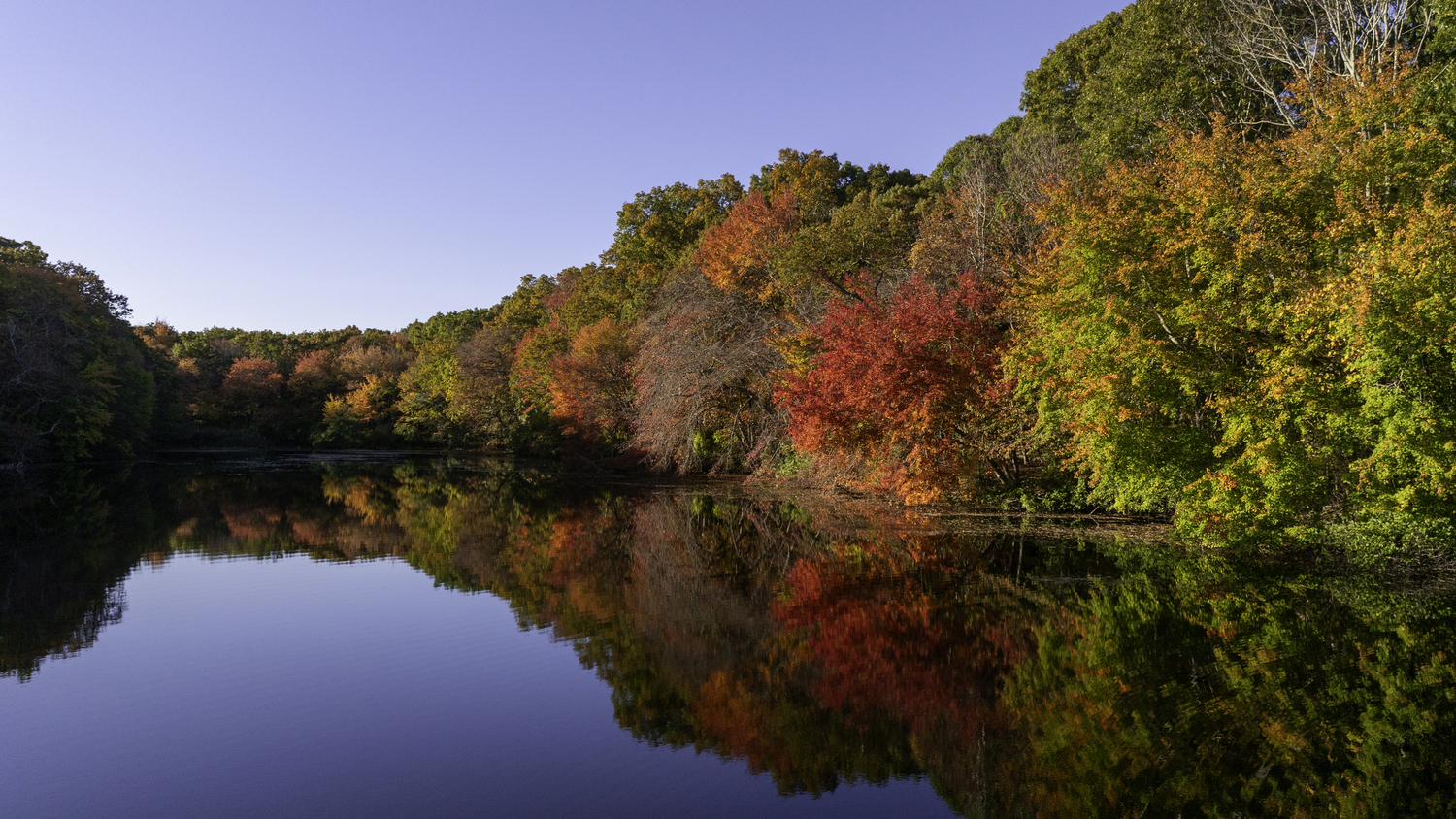 The fall foliage reflects on Trout Pond.   MARIANNE BARNETT