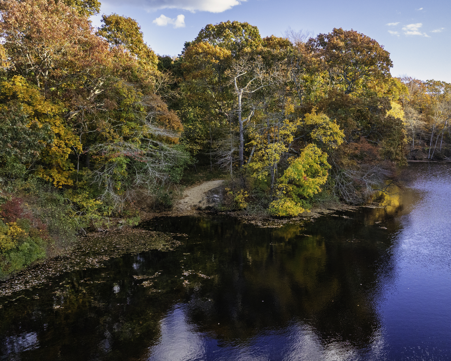 A trail heading into Trout Pond.   MARIANNE BARNETT