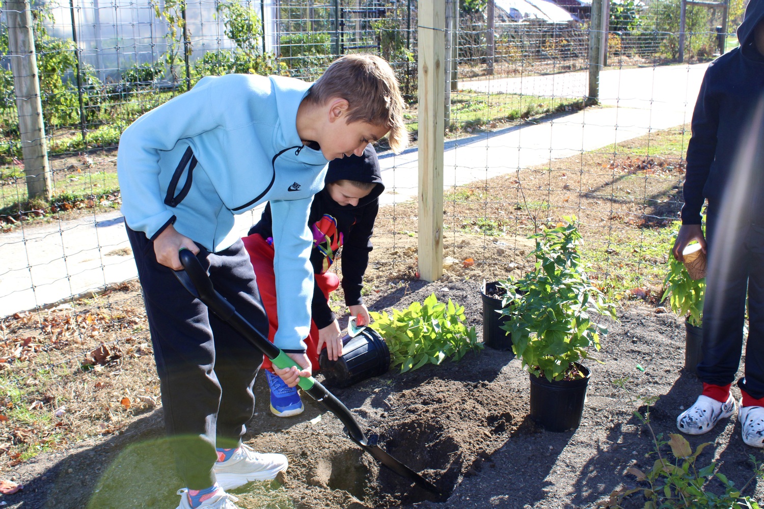 Bridgehampton School student Chase Chmielewski helps out on planting day for the school’s new pollinator garden and outdoor classroom, created in partnership with ReWild Long Island. COURTESY BRIDGEHAMPTON SCHOOL DISTRICT