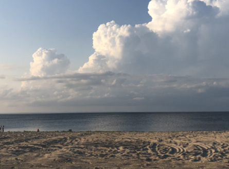 AMSEAS Corporate Beach Clean-Up at Sunken Meadow State Park