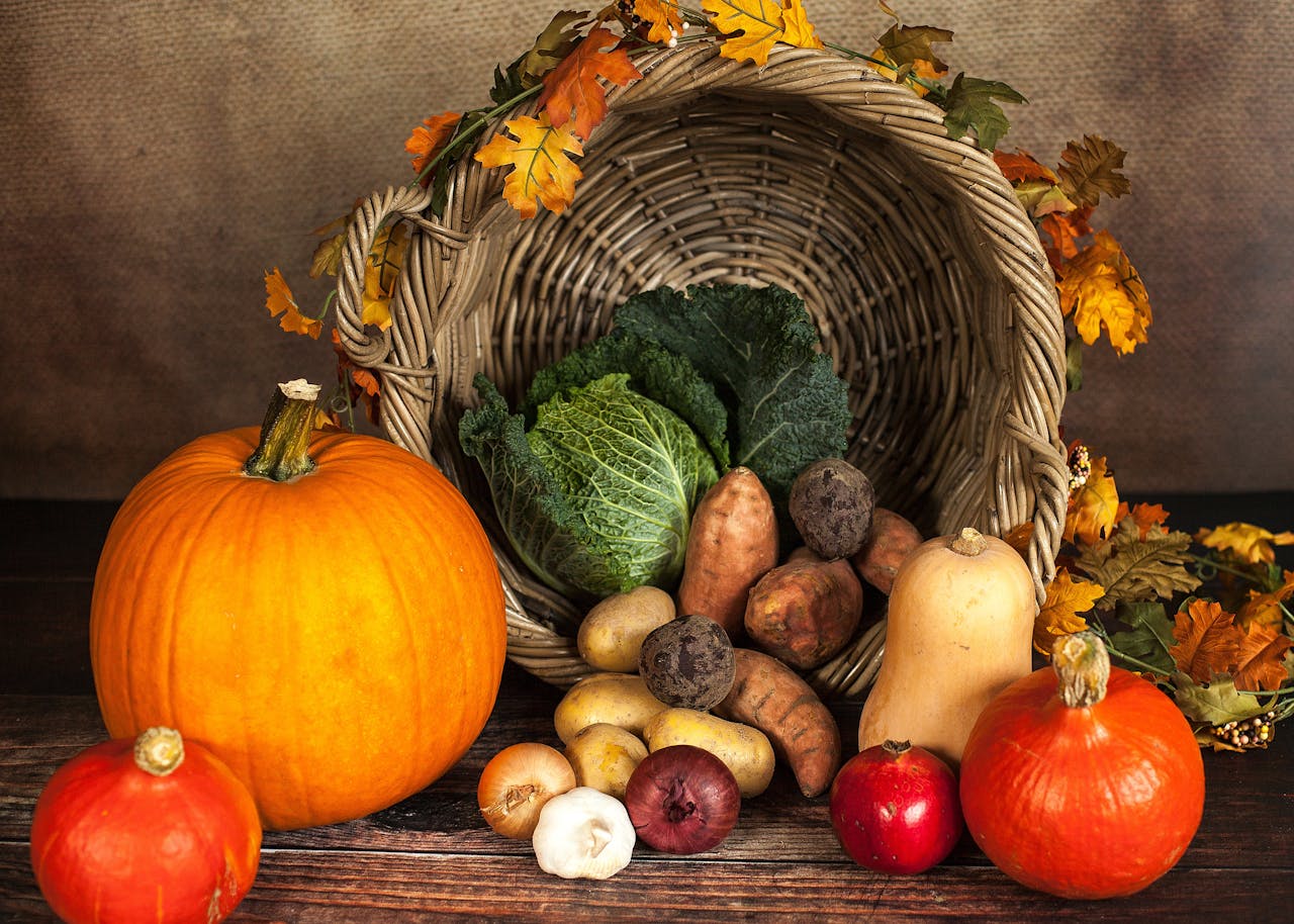 Cornucopia