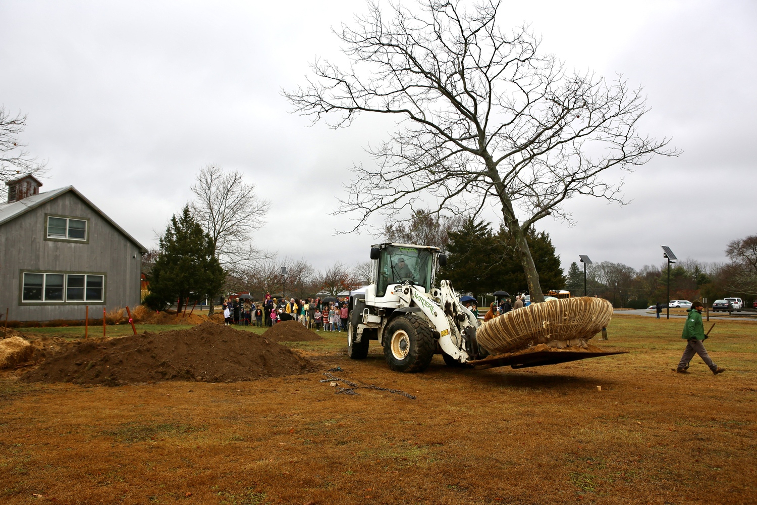 A team from Marders moved a tree from the site of the new Hayground School Arts & Science Center building. R.J. PARTINGTON III