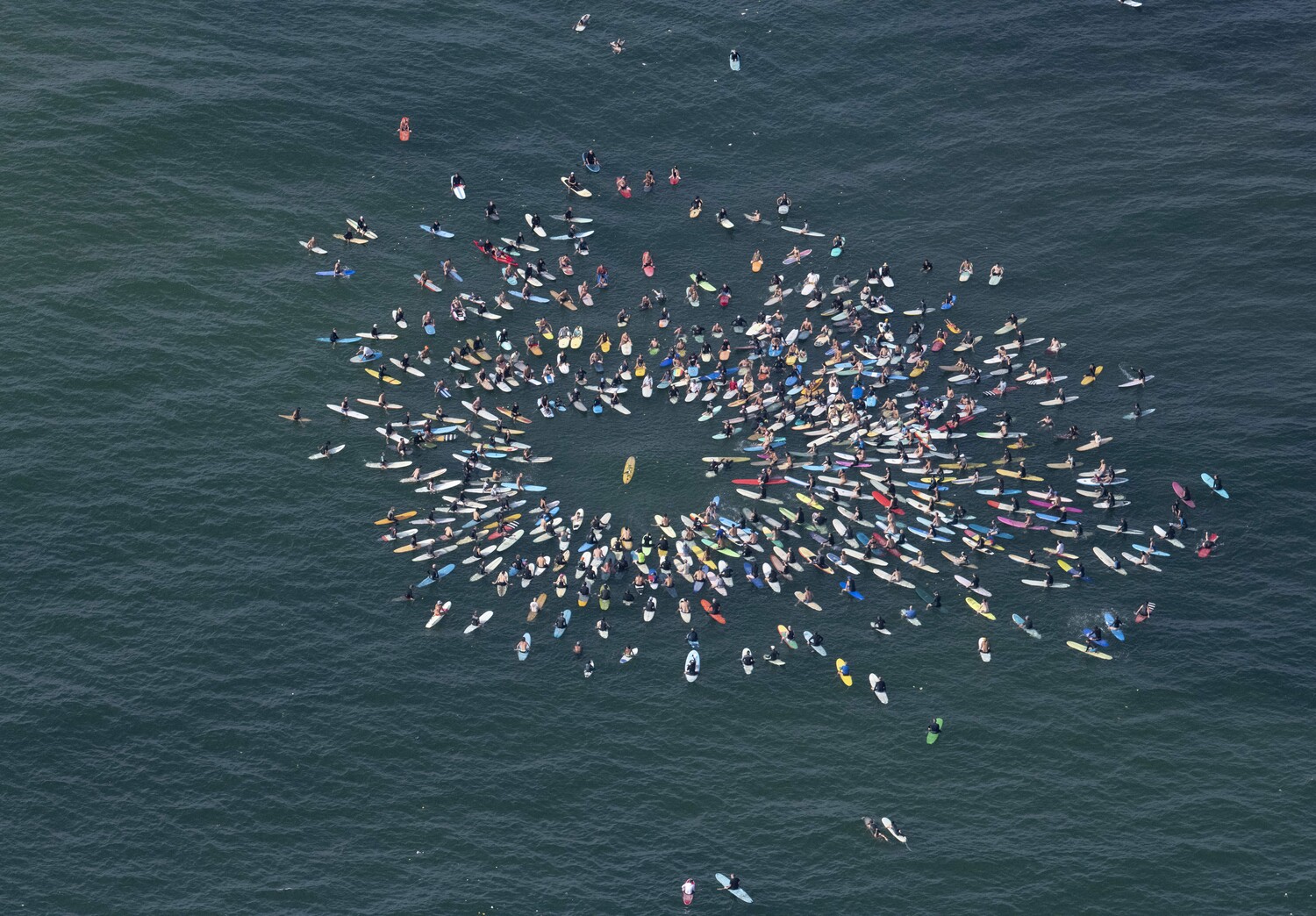 August 29 - A paddle-out for Andrew Blauschild was held on August 26 at Ditch Plains Beach. Mourners surrounded Blauschild’s vacant yellow surfboard in tribute.