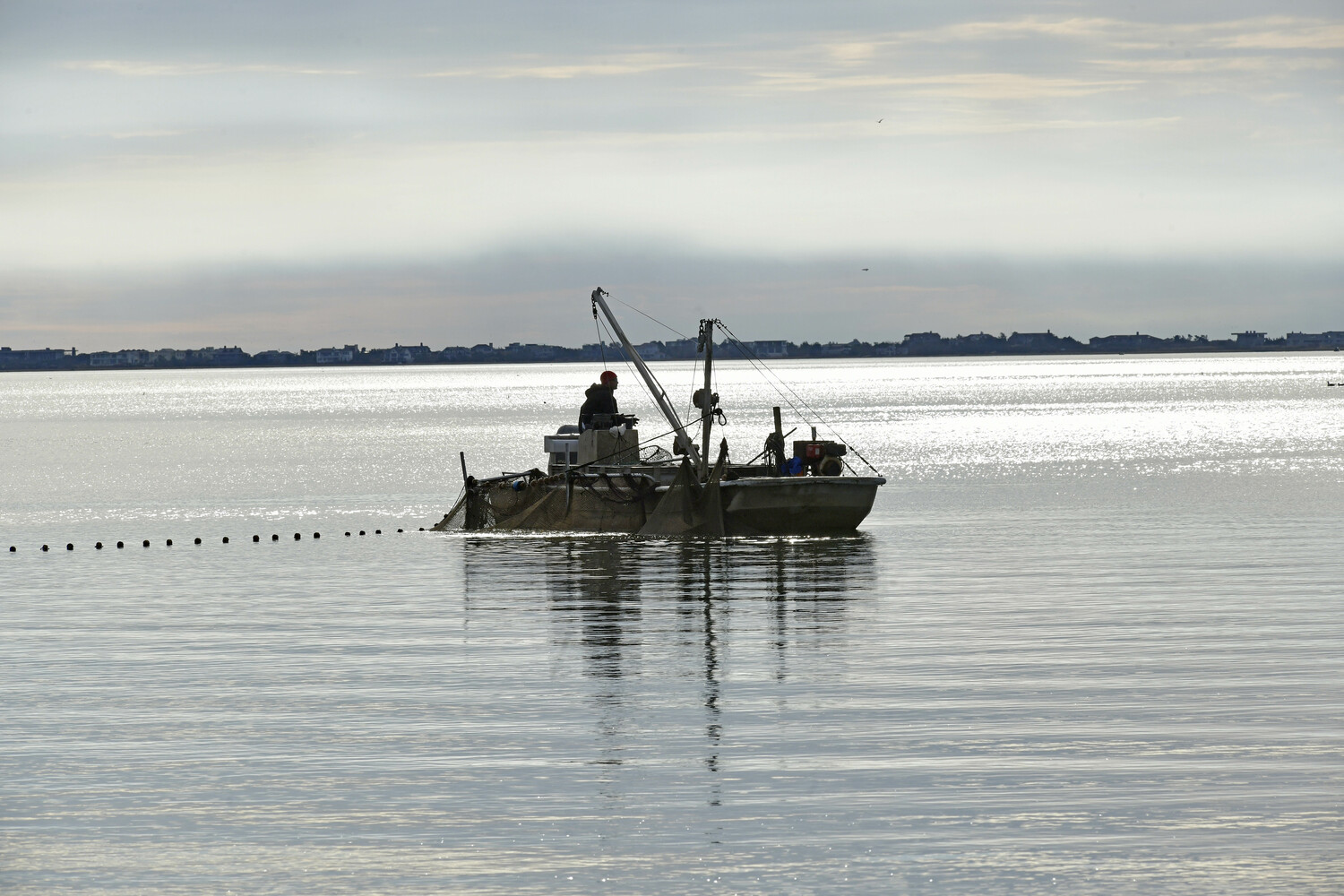 November 28 - A lone fisherman on a calm Shinnecock Bay last week.   DANA SHAW