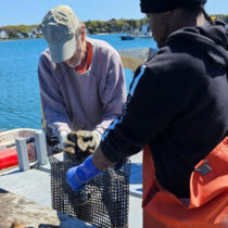 Work at the Conscience Point Shellfish Hatchery in 2023.  TESS MAHONEY