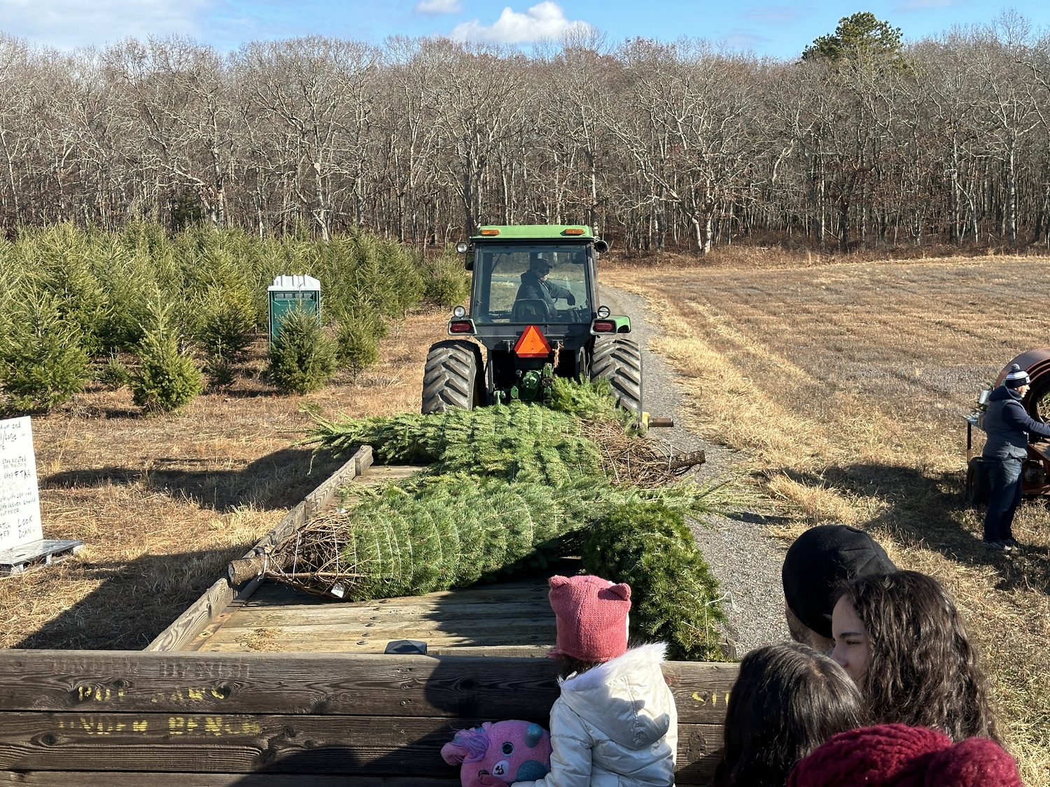 At the Lewin Farms cut-your-own Christmas tree farm in Calverton.  BRENDAN J. O'REILLY