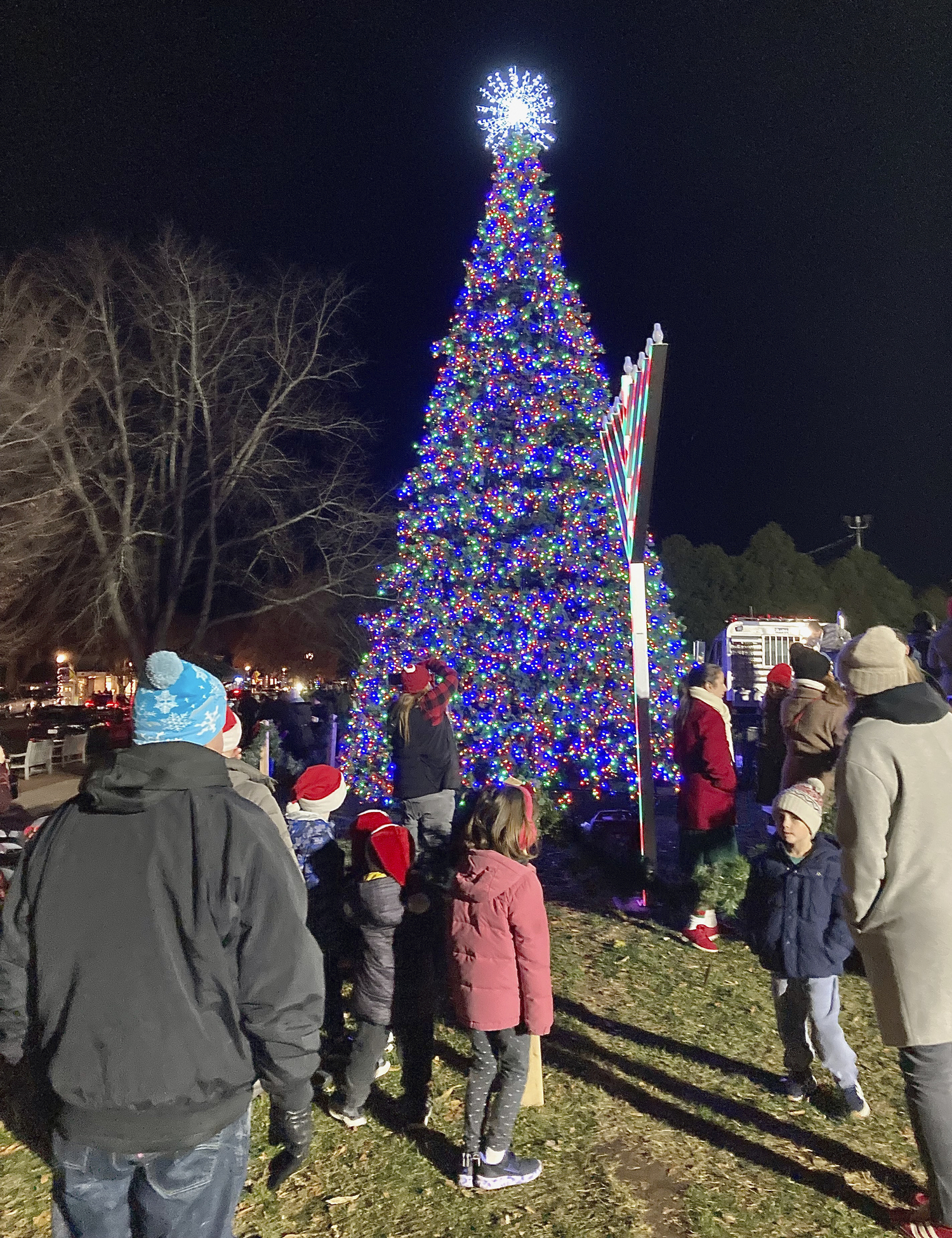 The tree in Herrick Park in East Hampton is lit on Saturday evening.  KYRIL BROMLEY