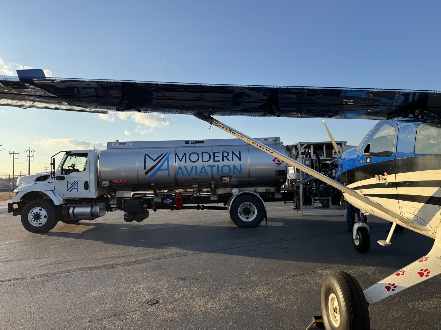 Pilots to the Rescue brought several dogs up north last week. COURTESY MODERN AVIATION/PILOTS TO THE RESCUE