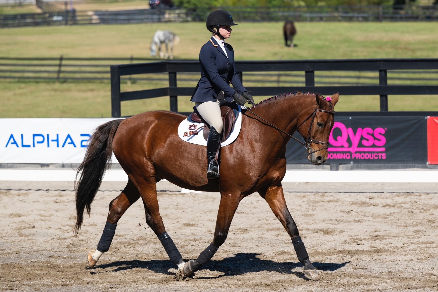 Sadie Berkhout, a freshman, is an integral part of the Auburn University Equestrian Team.   COURTESY AUBURN ATHLETICS