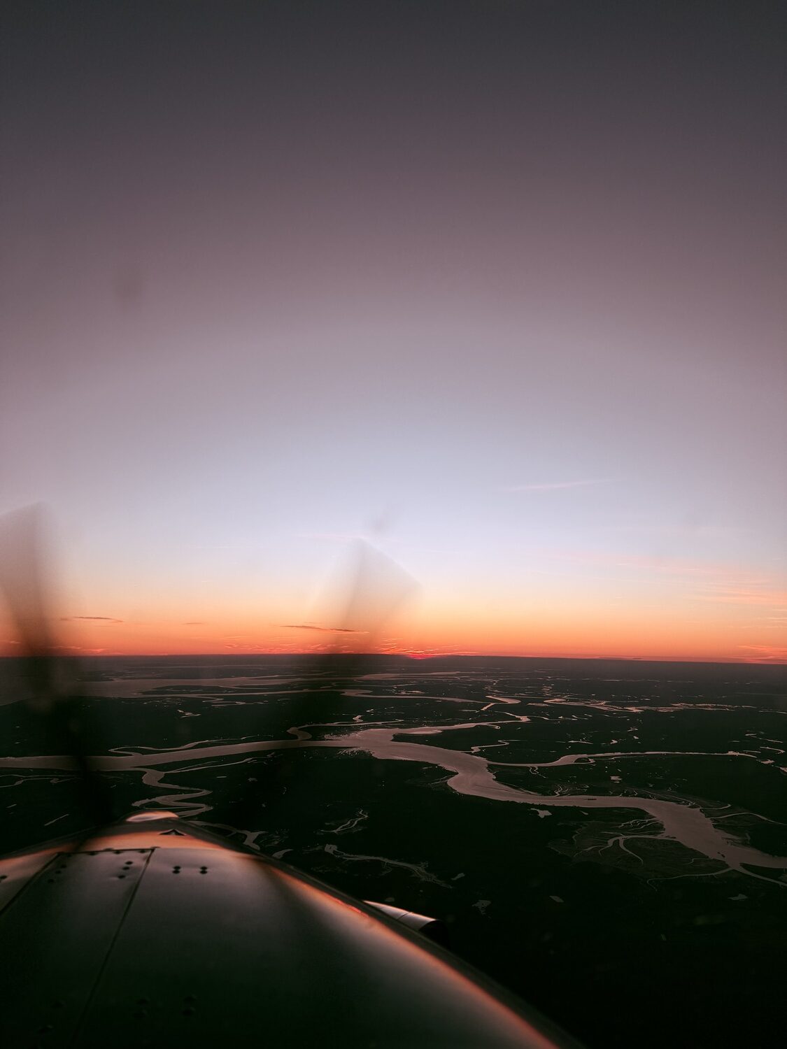 Pilots to the Rescue brought several dogs up north last week. COURTESY MODERN AVIATION/PILOTS TO THE RESCUE