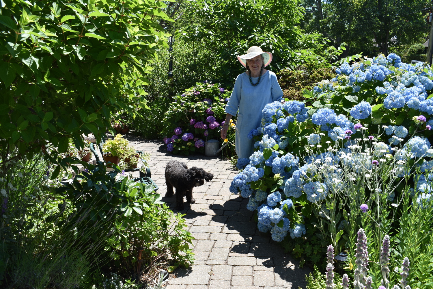 June 27 - In The Garden With Jane Iselin
Gardener is a dedicated community volunteer for various groups
Hurricane Gloria was about to strike Long Island in September 1985 when Jane Iselin and her friend decided to take the three-hour round-trip car ride from her home in Roslyn east to Southampton to hear the painter Robert Dash talk about art at Southampton College. The two women were so fascinated with the lecture, they spent time talking to Dash, instead of dashing home. “Why don’t you come home with me?” Dash asked his new acquaintances. “I can show you my gardens and my studio.” When reports of the storm circulated, Iselin and her friend shrugged it off. “Well that’s silly,” Iselin recalled thinking. “It was gorgeous all day.” “Do have a drink,” insisted Dash when they arrived at what is now Madoo Conservancy in Sagaponack. “His drinks are lethal,” Iselin reminisced. “Suddenly all hell broke loose. The upshot was we spent the night.” Dash was fast asleep when the women woke up. “We walked outside and the salt spray had turned everything white. It was bizarre,” she said. “That started my love affair with gardening on Long Island.”   BRENDAN J.O'REILLY