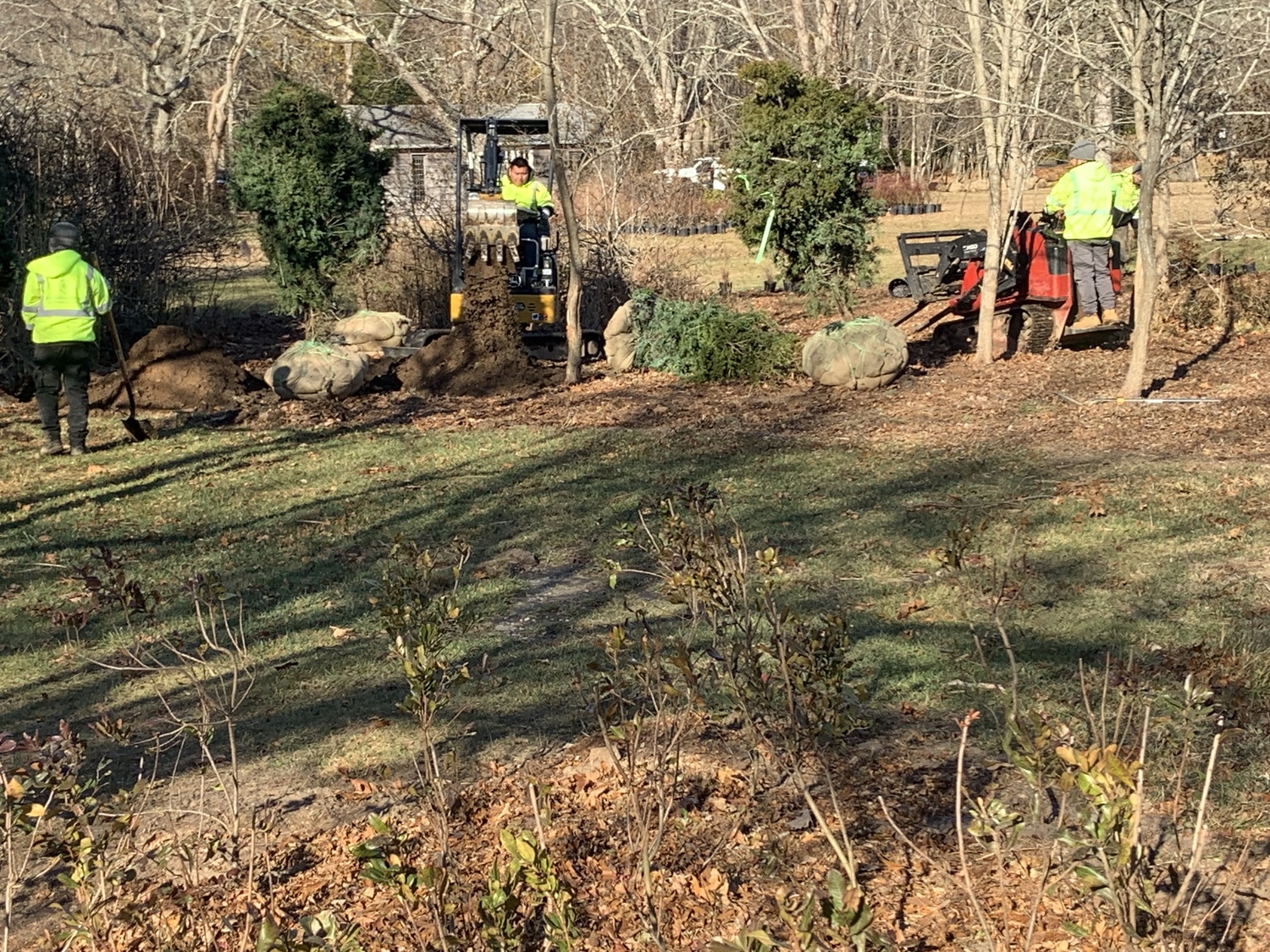 Workers with Jackson Dodds & Company planting evergreens at the new park in North Haven on Friday. STEPHEN J. KOTZ