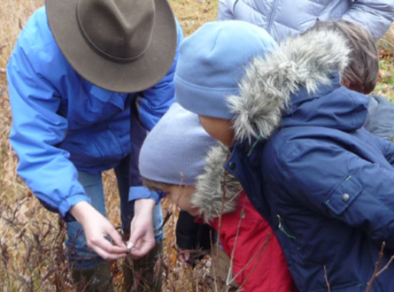 Winter School Break Walks: Where Do Insects Go in Winter?