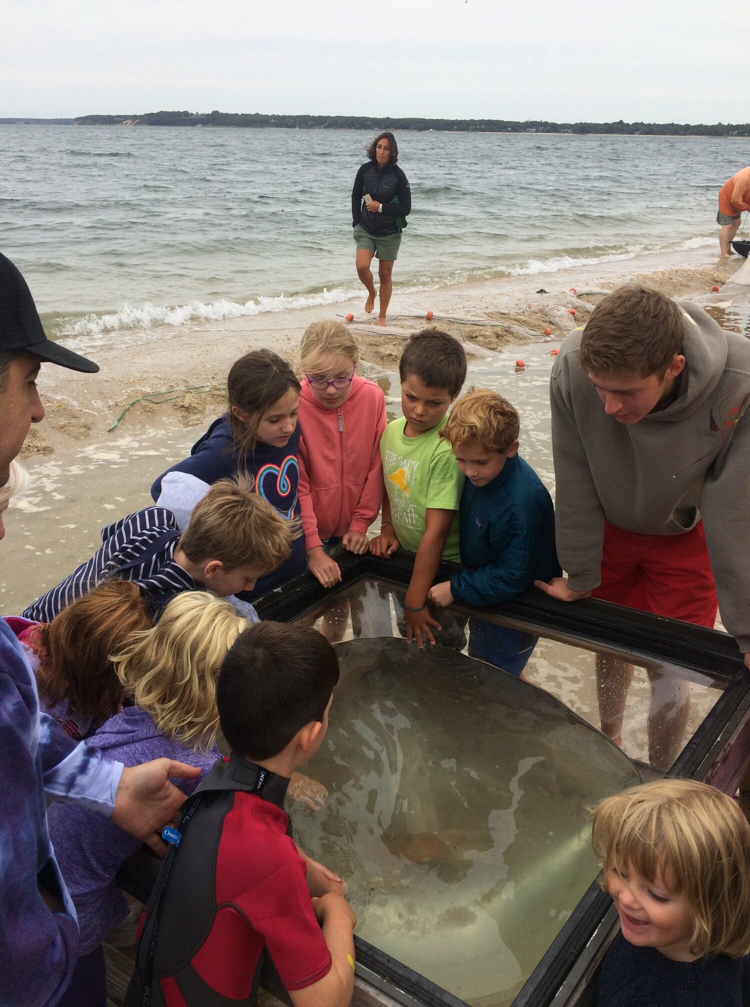 Members of SOFO's Young Environmentalists Society learning about who swims in our bay. This active club creates young climate activists and goes on many nature based excursions. SOUTH FORK NATURAL HISTORY MUSEUM