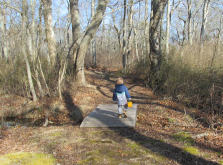 SOFO’s East End Outdoor Nature Education with Crystal at Sagg Swamp, Sagaponack