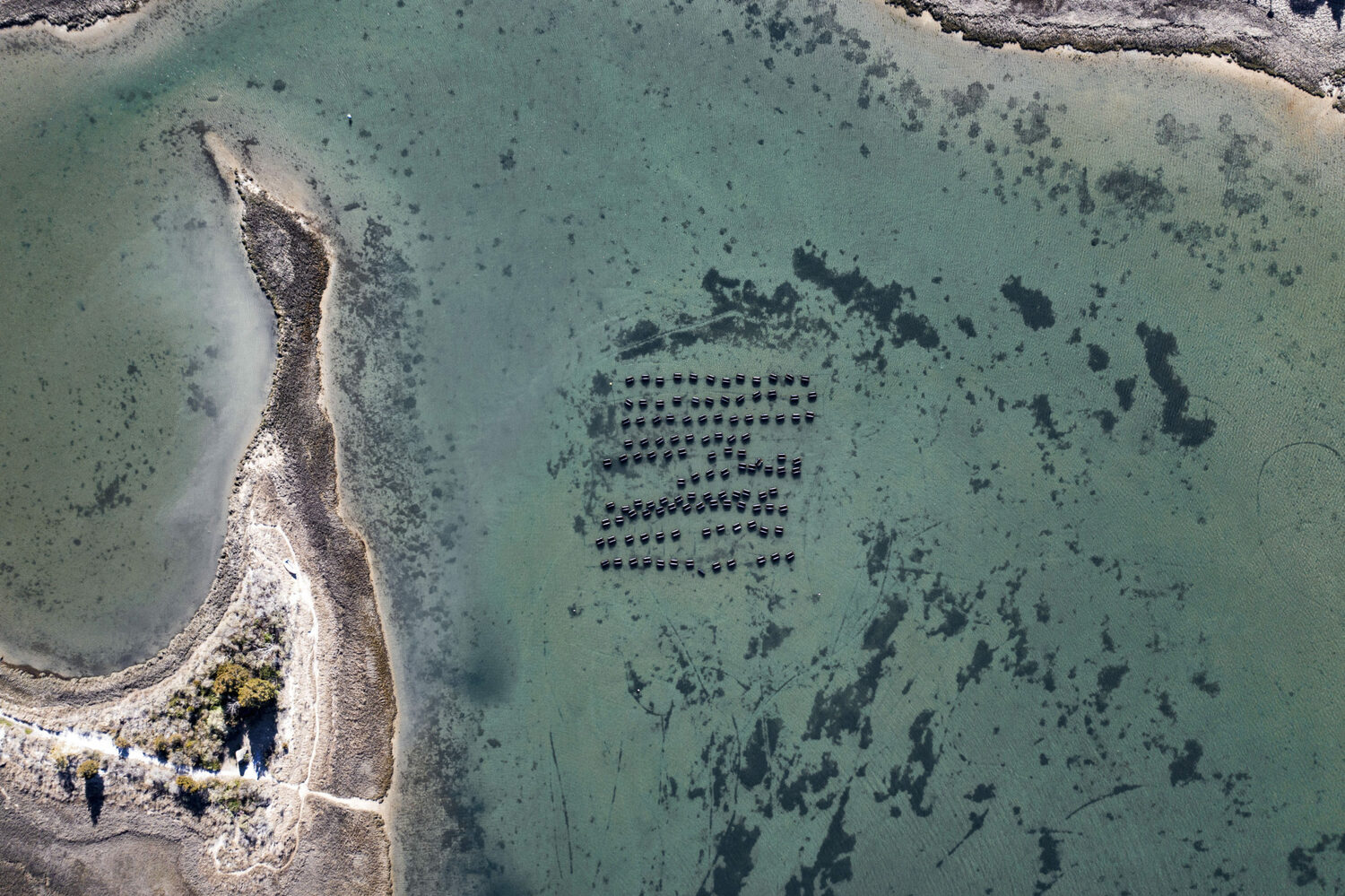 The Conscience Point Shellfish Hatchery. COURTESY ASHLEY OLIVER/FILE PHOTO