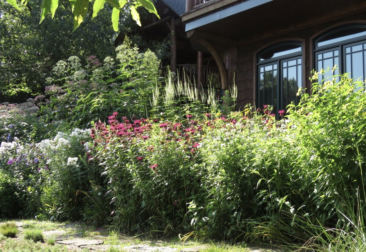 Flying Trillium Gardens & Preserve in Sullivan County. CAROLYN SUMMERS