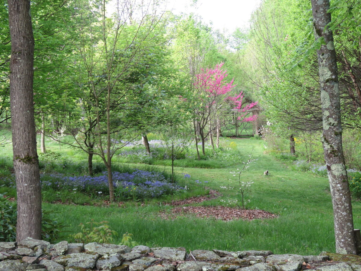 Flying Trillium Gardens & Preserve in Sullivan County. CAROLYN SUMMERS