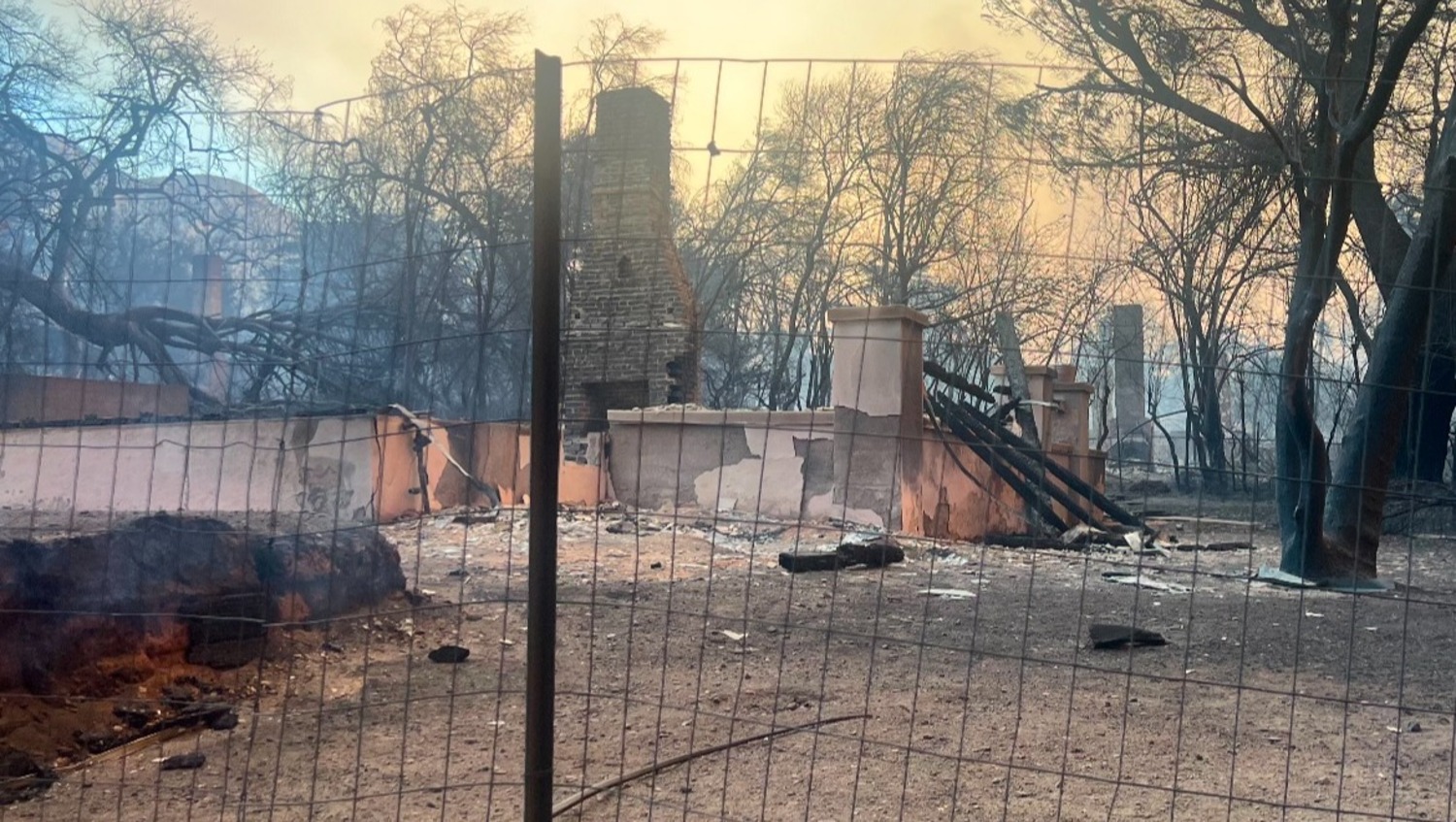 The Luppi family lost their home in the devastating Eaton Fire on January 7 in Altadena, California. They were able to evacuate safely with their dog, Norman, but their home — and everything in it — was reduced to ash and rubble. COURTESY BEN LUPPI/GOFUNDME