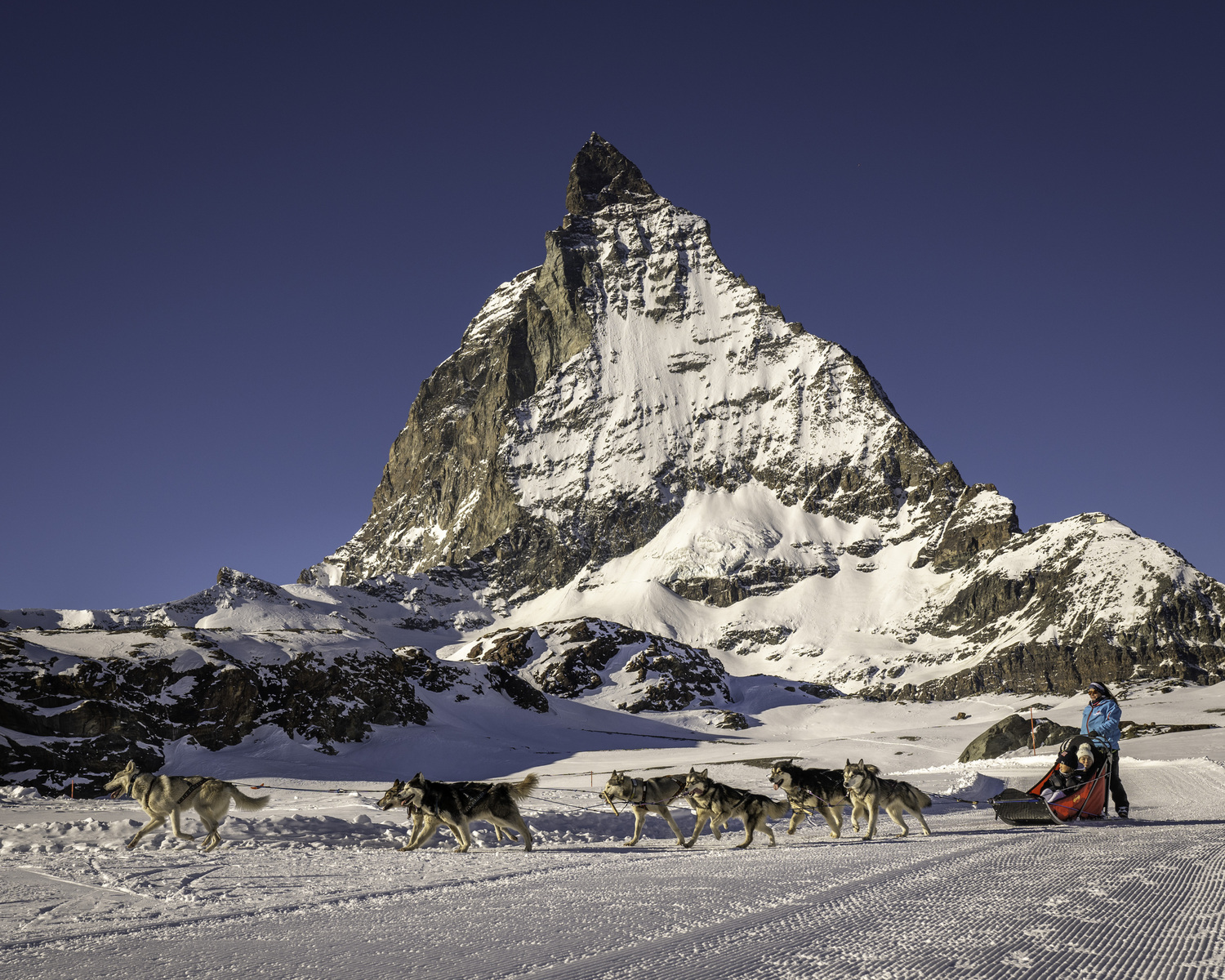 Sled dogs in front of the Matterhorn.  MARIANNE BARNETT