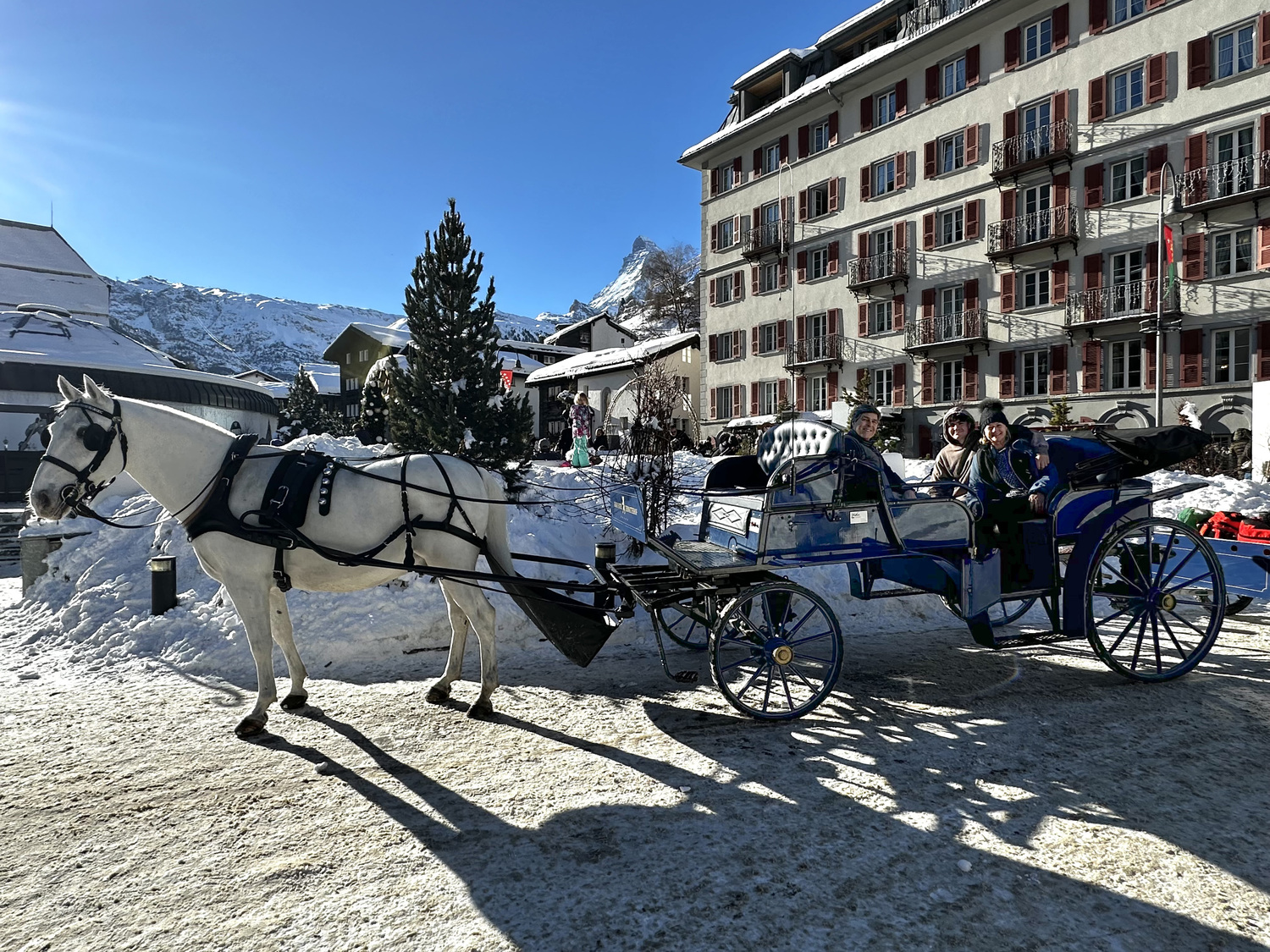 Favorit and the carriage that took the family from the airport to Zermatt.  MARIANNE BARNETT