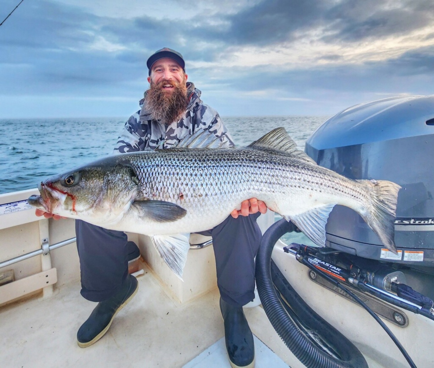 Big striped bass are a valuable resource to those fishermen more concerned with catching trophy fish than table fare, but they are a dwindling resource. CAPT SAVIO MIZZI