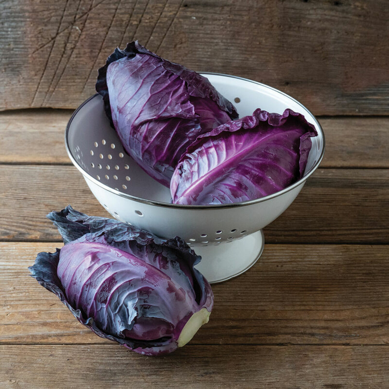 Tinty is a pointed type of red cabbage in miniature. At only 1 to 2 pounds the spacing is only 8 to 10 inches but at wider spacing the heads tend to get rounder.  JOHNNY'S SELECTED SEEDS