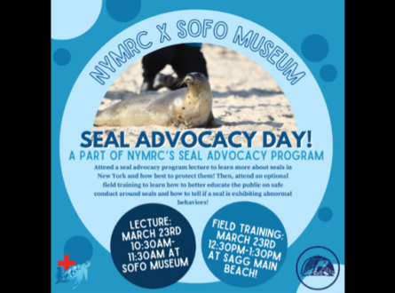 New York Marine Rescue Center Seal Advocacy Program Level I Lecture