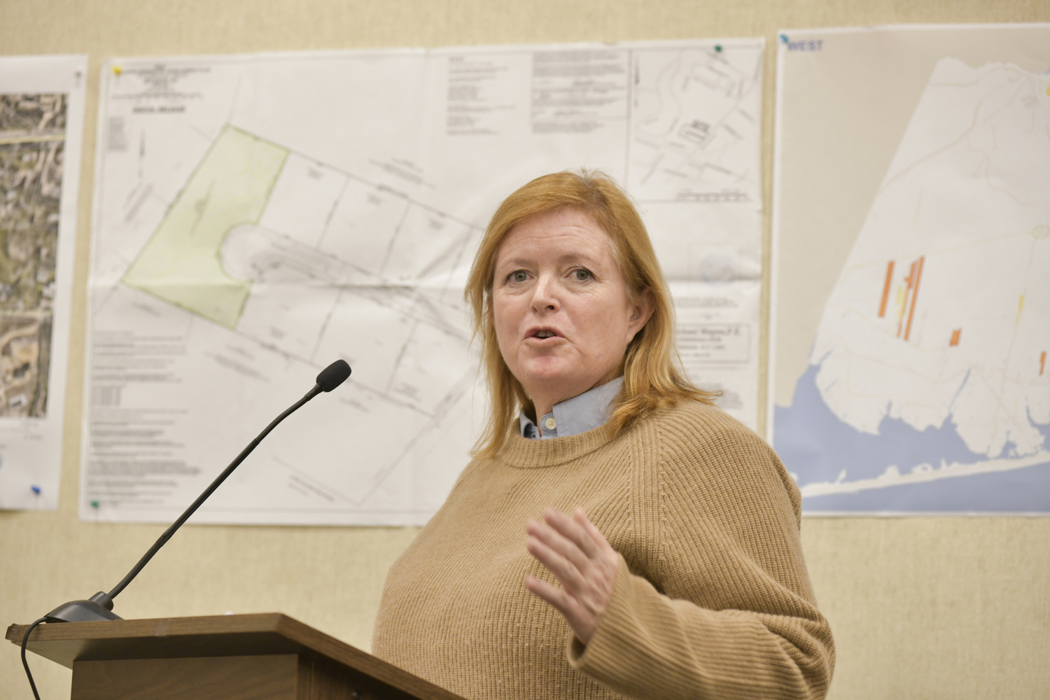 Lilee Fell, a Sag Harbor resident, speaks at Tuesday night's meeting.  DANA SHAW