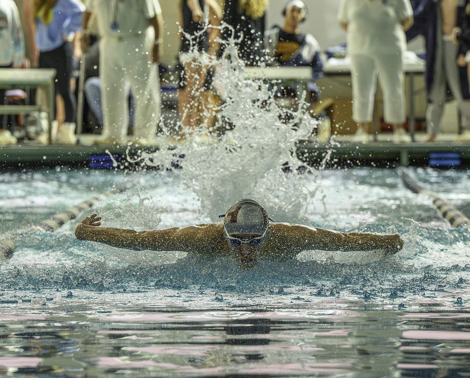 Pierson junior Nick Chavez dives into the pool for the start of the 200-yard individual medley.  MARIANNE BARNETT