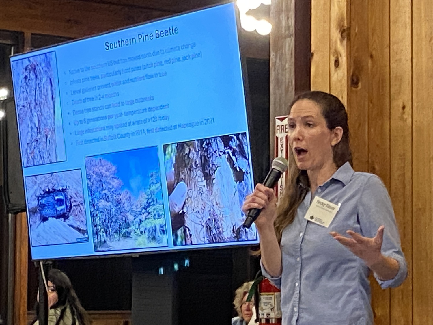 The southern pine beetle infestation is a manifestation of climate change, said Becky Sibner, the Parks Department's forest health specialist.  CHRISTOPHER WALSH