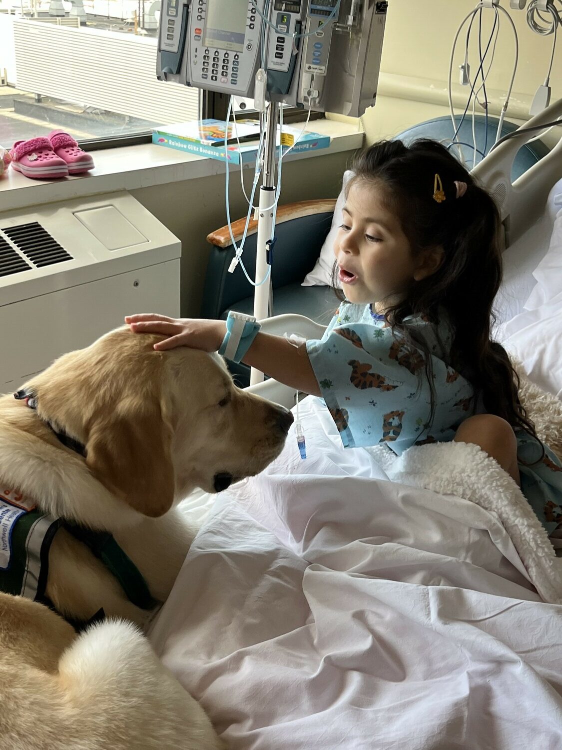 Antonella Quintana, a six-year-old Hampton Bays resident, is currently undergoing treatment for leukemia at Cohen Children's Medical Center in Queens. COURTESY THE QUINTANA FAMILY