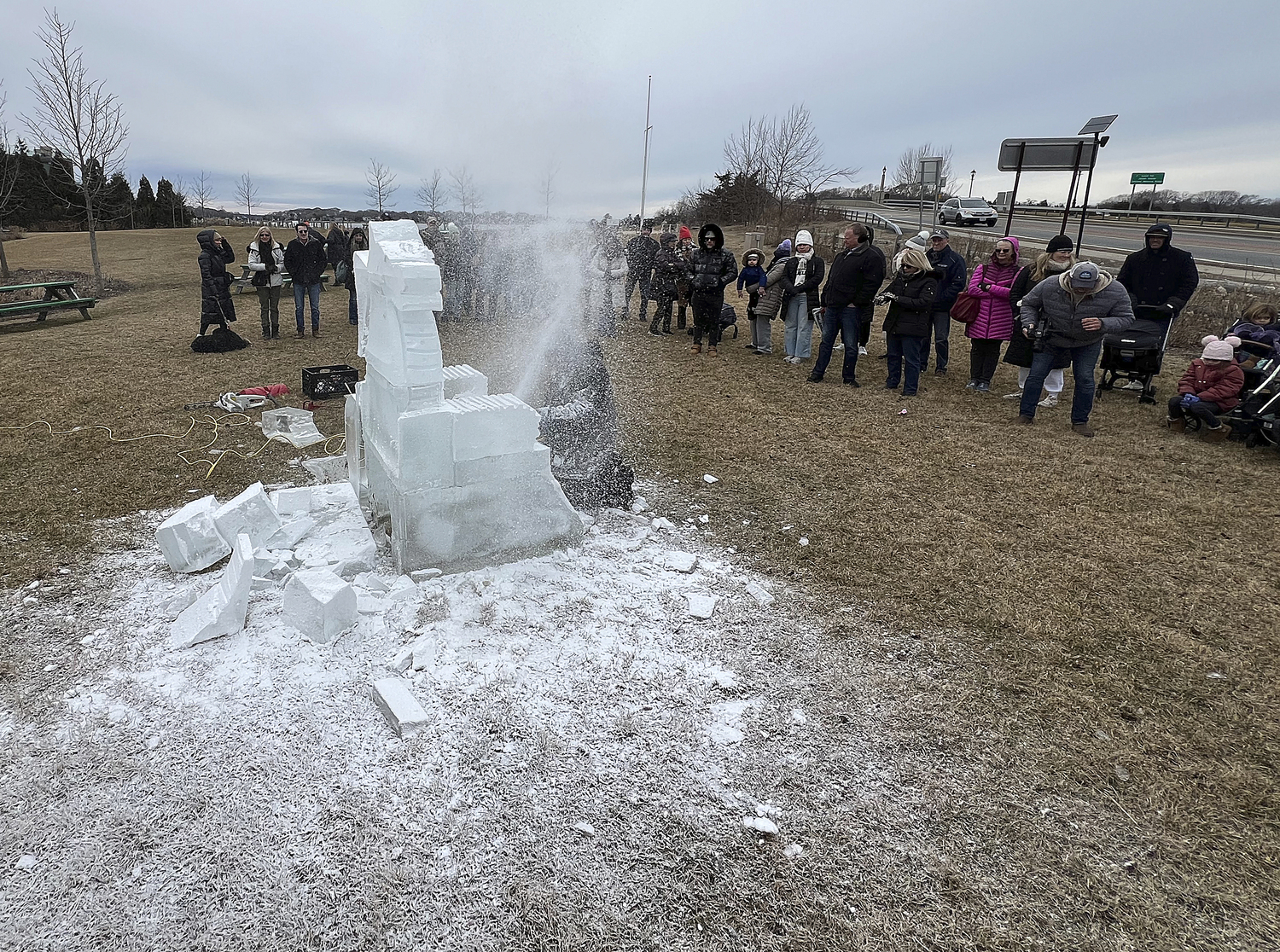 Ice sculpture in Steinbeck Park.  DANA SHAW