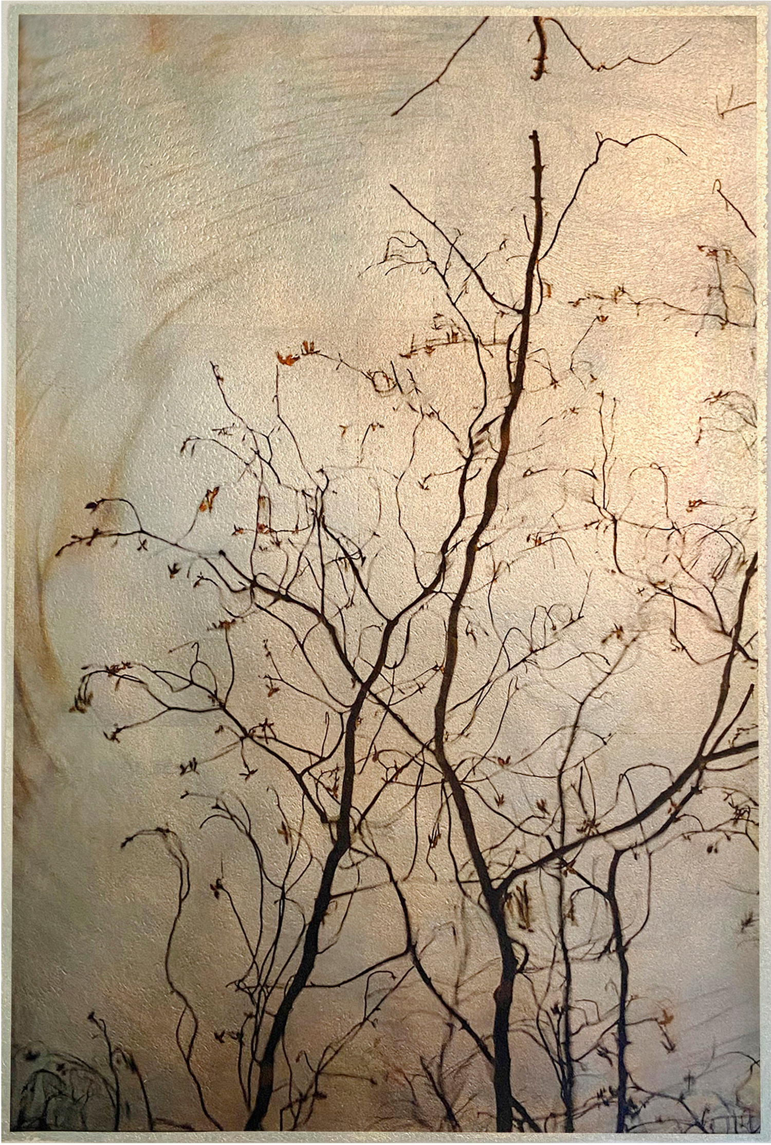 Kerry Sharkey-Miller, “Reflection: May 6 2020,” pigment ink on Vellum over 12k white gold leaf, 15” x 10.” COURTESY THE ARTIST