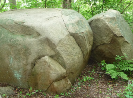 Observing Glacial Erratics Along the Ronkonkoma Moraine