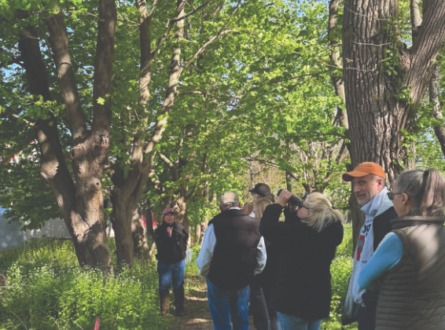 Early Spring Bird Walk