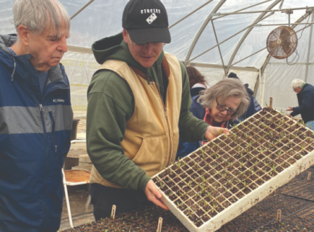 Starting Seeds at the Farm