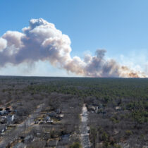 Westhampton Pines Fire.  ALESSANDRO MANGLAVITI