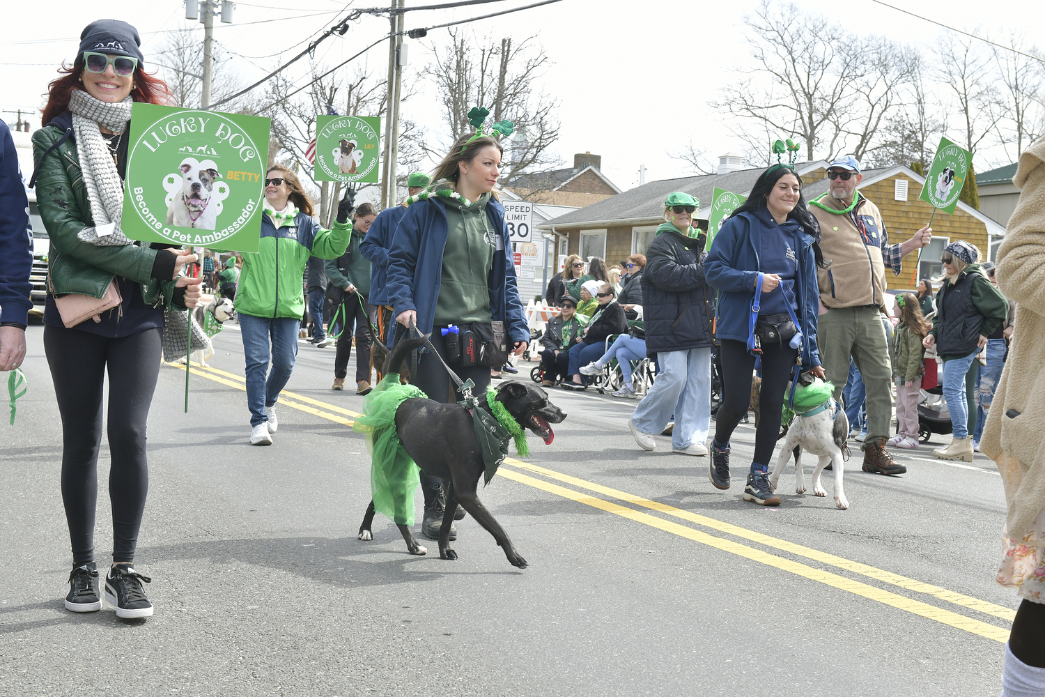 The Southampton Animal Shelter Foundation.