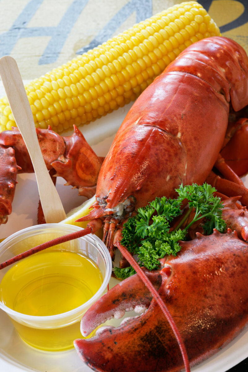 Lobster is on the menu at Bostwick’s Chowder House, which reopens for the season on Thursday. ERIC STRIFFLER