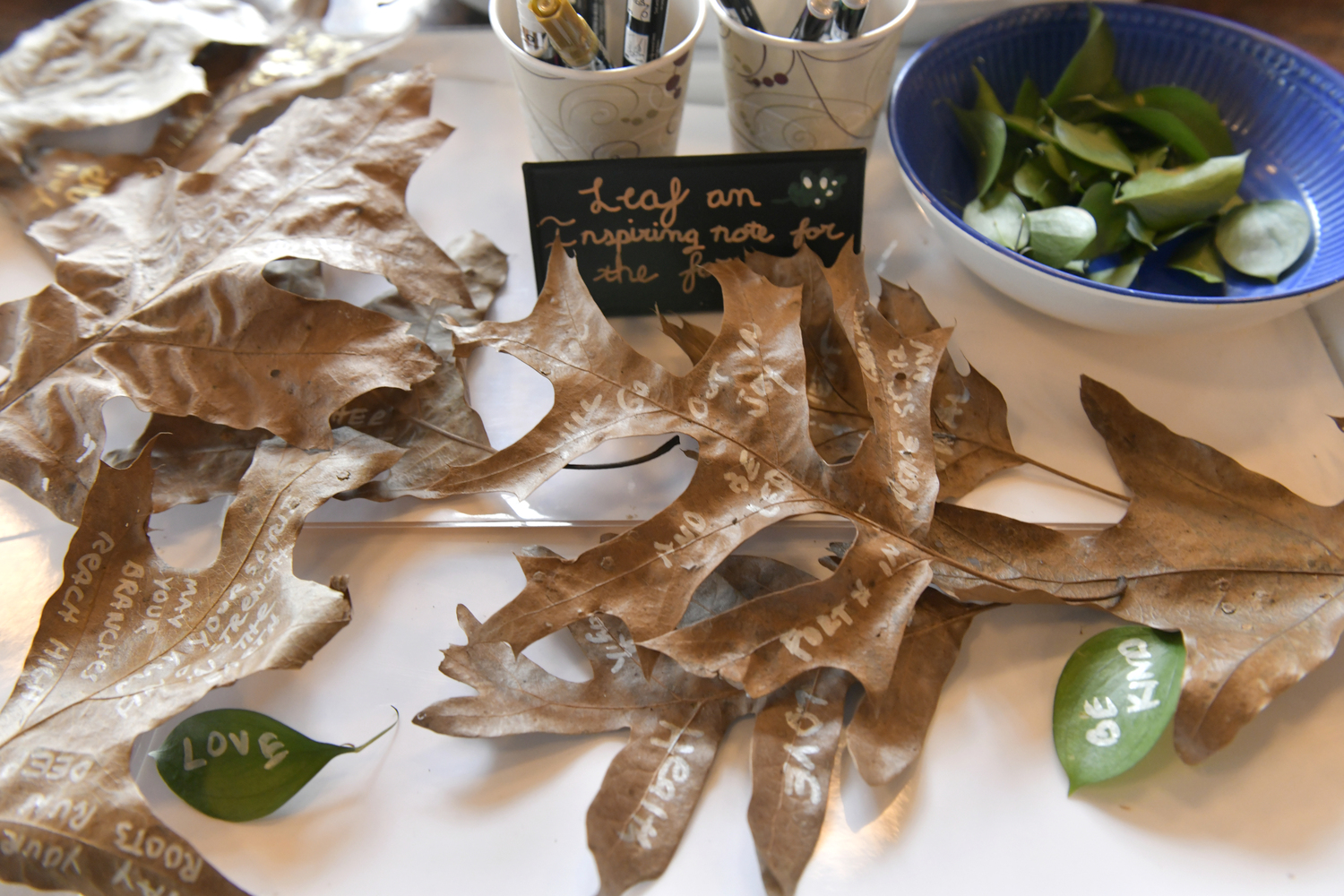 A healing ceremony for the forest was held at the Quogue Wildlife Refuge on March 20. Inspired by the work of Dr. Masaru Emoto, participants use the power of words, intention, and community to strengthen and protect the trees as they face the challenge of a southern pine beetle infestation.   DANA SHAW